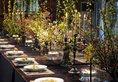 No.5 Valley Resort в Чжанцзяцзе Китай ✅. Забронировать номер онлайн по выгодной цене в No.5 Valley Resort. Трансфер из аэропорта.