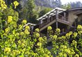 No.5 Valley Resort в Чжанцзяцзе Китай ✅. Забронировать номер онлайн по выгодной цене в No.5 Valley Resort. Трансфер из аэропорта.