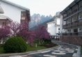 Zhangjiajie Pipaxi Hotel в Чжанцзяцзе Китай ✅. Забронировать номер онлайн по выгодной цене в Zhangjiajie Pipaxi Hotel. Трансфер из аэропорта.