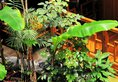 Guanshanyue Honeymoon Mansion в Чжанцзяцзе Китай ✅. Забронировать номер онлайн по выгодной цене в Guanshanyue Honeymoon Mansion. Трансфер из аэропорта.