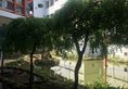 Zhangjiajie Heyi Hotel в Чжанцзяцзе Китай ✅. Забронировать номер онлайн по выгодной цене в Zhangjiajie Heyi Hotel. Трансфер из аэропорта.