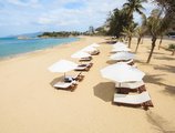 Calm Seas Hotel в Нячанг Вьетнам ✅. Забронировать номер онлайн по выгодной цене в Calm Seas Hotel. Трансфер из аэропорта.