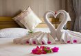 Maritime Hotel в Нячанг Вьетнам ✅. Забронировать номер онлайн по выгодной цене в Maritime Hotel. Трансфер из аэропорта.