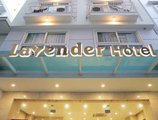 Lavender Nha Trang Hotel в Нячанг Вьетнам ✅. Забронировать номер онлайн по выгодной цене в Lavender Nha Trang Hotel. Трансфер из аэропорта.