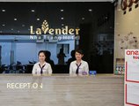 Lavender Nha Trang Hotel в Нячанг Вьетнам ✅. Забронировать номер онлайн по выгодной цене в Lavender Nha Trang Hotel. Трансфер из аэропорта.
