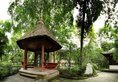 The Ritz-Carlton, Chengdu в Чэнду Китай ✅. Забронировать номер онлайн по выгодной цене в The Ritz-Carlton, Chengdu. Трансфер из аэропорта.