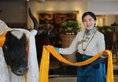 Chengdu Tibet Hotel в Чэнду Китай ✅. Забронировать номер онлайн по выгодной цене в Chengdu Tibet Hotel. Трансфер из аэропорта.