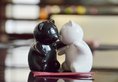 Crowne Plaza Chengdu Panda Garden в Чэнду Китай ✅. Забронировать номер онлайн по выгодной цене в Crowne Plaza Chengdu Panda Garden. Трансфер из аэропорта.