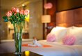 Celebrity City Hotel в Чэнду Китай ✅. Забронировать номер онлайн по выгодной цене в Celebrity City Hotel. Трансфер из аэропорта.