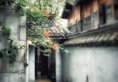 Bamboo House в Чэнду Китай ✅. Забронировать номер онлайн по выгодной цене в Bamboo House. Трансфер из аэропорта.