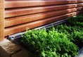 Bamboo House в Чэнду Китай ✅. Забронировать номер онлайн по выгодной цене в Bamboo House. Трансфер из аэропорта.