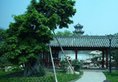 Youhao Jinjiang Hotel в Чэнду Китай ✅. Забронировать номер онлайн по выгодной цене в Youhao Jinjiang Hotel. Трансфер из аэропорта.