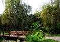 Youhao Jinjiang Hotel в Чэнду Китай ✅. Забронировать номер онлайн по выгодной цене в Youhao Jinjiang Hotel. Трансфер из аэропорта.