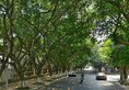 Chengdu Noah's Ark Hotel в Чэнду Китай ✅. Забронировать номер онлайн по выгодной цене в Chengdu Noah's Ark Hotel. Трансфер из аэропорта.
