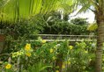 Green Organic Villas в Фантьет Вьетнам ✅. Забронировать номер онлайн по выгодной цене в Green Organic Villas. Трансфер из аэропорта.