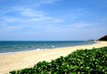 Phan Thiet Ocean Dunes Resort в Фантьет Вьетнам ✅. Забронировать номер онлайн по выгодной цене в Phan Thiet Ocean Dunes Resort. Трансфер из аэропорта.