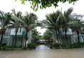 Villa Del Sol Beach Resort & Spa в Фантьет Вьетнам ✅. Забронировать номер онлайн по выгодной цене в Villa Del Sol Beach Resort & Spa. Трансфер из аэропорта.