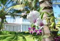 Sonata Resort & Spa в Фантьет Вьетнам ✅. Забронировать номер онлайн по выгодной цене в Sonata Resort & Spa. Трансфер из аэропорта.