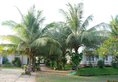 Non Nuoc Resort в Фантьет Вьетнам ✅. Забронировать номер онлайн по выгодной цене в Non Nuoc Resort. Трансфер из аэропорта.