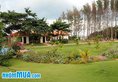 Doi Su Resort в Фантьет Вьетнам ✅. Забронировать номер онлайн по выгодной цене в Doi Su Resort. Трансфер из аэропорта.