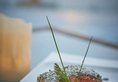 Mandarina Colombo в Коломбо Шри-Ланка ✅. Забронировать номер онлайн по выгодной цене в Mandarina Colombo. Трансфер из аэропорта.