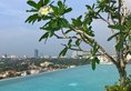 Jetwing Colombo Seven в Коломбо Шри-Ланка ✅. Забронировать номер онлайн по выгодной цене в Jetwing Colombo Seven. Трансфер из аэропорта.