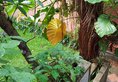 Highbury Colombo в Коломбо Шри-Ланка ✅. Забронировать номер онлайн по выгодной цене в Highbury Colombo. Трансфер из аэропорта.