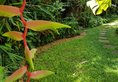 Highbury Colombo в Коломбо Шри-Ланка ✅. Забронировать номер онлайн по выгодной цене в Highbury Colombo. Трансфер из аэропорта.