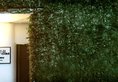 Colombo Hotel by Ceilao Villas в Коломбо Шри-Ланка ✅. Забронировать номер онлайн по выгодной цене в Colombo Hotel by Ceilao Villas. Трансфер из аэропорта.