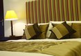 The Canes Boutique Hotel в Коломбо Шри-Ланка ✅. Забронировать номер онлайн по выгодной цене в The Canes Boutique Hotel. Трансфер из аэропорта.