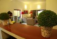 The Canes Boutique Hotel в Коломбо Шри-Ланка ✅. Забронировать номер онлайн по выгодной цене в The Canes Boutique Hotel. Трансфер из аэропорта.