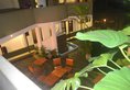 Hotel Janaki в Коломбо Шри-Ланка ✅. Забронировать номер онлайн по выгодной цене в Hotel Janaki. Трансфер из аэропорта.