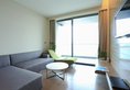 Novotel Danang Premier Han River в Дананг Вьетнам ✅. Забронировать номер онлайн по выгодной цене в Novotel Danang Premier Han River. Трансфер из аэропорта.