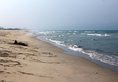 Ocean Apartment with Garden в Дананг Вьетнам ✅. Забронировать номер онлайн по выгодной цене в Ocean Apartment with Garden. Трансфер из аэропорта.