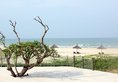 Ocean Apartment with Garden в Дананг Вьетнам ✅. Забронировать номер онлайн по выгодной цене в Ocean Apartment with Garden. Трансфер из аэропорта.