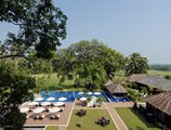 Novotel Goa Resort & Spa в Кандолим Индия  ✅. Забронировать номер онлайн по выгодной цене в Novotel Goa Resort & Spa. Трансфер из аэропорта.