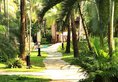 Coconut Creek Resort в Северное-ГОА Индия  ✅. Забронировать номер онлайн по выгодной цене в Coconut Creek Resort. Трансфер из аэропорта.