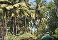 Phoenix Park Inn Goa в Северное-ГОА Индия  ✅. Забронировать номер онлайн по выгодной цене в Phoenix Park Inn Goa. Трансфер из аэропорта.