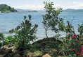 Fortune Miramar Goa в Северное-ГОА Индия  ✅. Забронировать номер онлайн по выгодной цене в Fortune Miramar Goa. Трансфер из аэропорта.