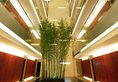 Howard Johnson Parkland Hotel Dalian в Далянь Китай ✅. Забронировать номер онлайн по выгодной цене в Howard Johnson Parkland Hotel Dalian. Трансфер из аэропорта.