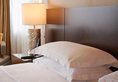 Sheraton Grand Taipei Hotel в Тайбэй Тайвань ✅. Забронировать номер онлайн по выгодной цене в Sheraton Grand Taipei Hotel. Трансфер из аэропорта.