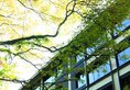 Grand View Resort Beitou в Тайбэй Тайвань ✅. Забронировать номер онлайн по выгодной цене в Grand View Resort Beitou. Трансфер из аэропорта.