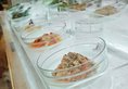 Dormy Inn Premium Seoul Garosugil в Сеул Южная Корея ✅. Забронировать номер онлайн по выгодной цене в Dormy Inn Premium Seoul Garosugil. Трансфер из аэропорта.