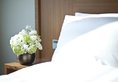 Lotte City Hotel Myeongdong в Сеул Южная Корея ✅. Забронировать номер онлайн по выгодной цене в Lotte City Hotel Myeongdong. Трансфер из аэропорта.