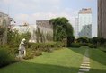 Sejong Hotel Seoul Myeongdong в Сеул Южная Корея ✅. Забронировать номер онлайн по выгодной цене в Sejong Hotel Seoul Myeongdong. Трансфер из аэропорта.