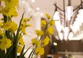 Benikea Premier Hotel Bernoui в Сеул Южная Корея ✅. Забронировать номер онлайн по выгодной цене в Benikea Premier Hotel Bernoui. Трансфер из аэропорта.