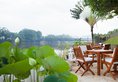 Mahaweli Reach Hotel в Канди Шри-Ланка ✅. Забронировать номер онлайн по выгодной цене в Mahaweli Reach Hotel. Трансфер из аэропорта.