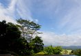Randholee Resort & Spa в Канди Шри-Ланка ✅. Забронировать номер онлайн по выгодной цене в Randholee Resort & Spa. Трансфер из аэропорта.