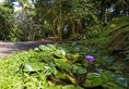 Kandy Bungalow by Amaya в Канди Шри-Ланка ✅. Забронировать номер онлайн по выгодной цене в Kandy Bungalow by Amaya. Трансфер из аэропорта.