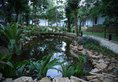 Serendib Signature Resort в Канди Шри-Ланка ✅. Забронировать номер онлайн по выгодной цене в Serendib Signature Resort. Трансфер из аэропорта.